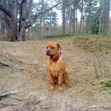 Mason, half jaar jong.
