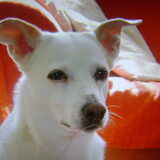 Laura!(L)