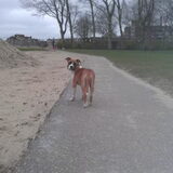 Foto van Dennis en H & H