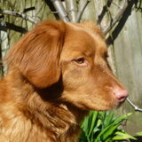 Foto van judith