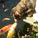 Foto van Greetje & Odie