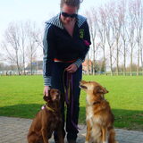 Met de hondjes op het trainingsveld, Bibi wint vandaag de "Beste van de…