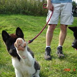 High 5.