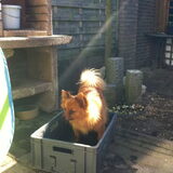 Lekker in het water