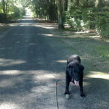 Nee he niet weer die bal