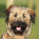 Foto van team Shadow