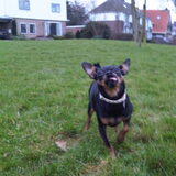 Foto van Jantina, Laila & Luna