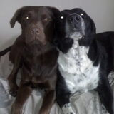 Foto van Ram en Joery