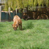 Foto van Carine Bollen