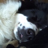 ZzzzZZZ