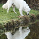 Spiegeltje, spiegeltje in het water...