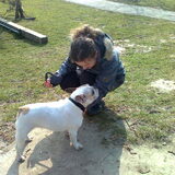 Foto van Sigrid, Sandy, Diva & Nala