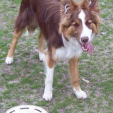 Leuk zo'n frisbee.