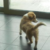 ben ik niet cute