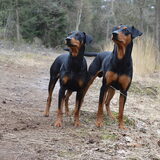 Foto van Marlies