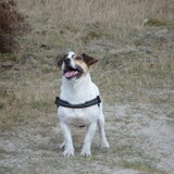 Knappe jongen.