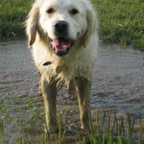 Foto van Juliette