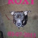 bewerkte foto ( roxy 03-07-2011