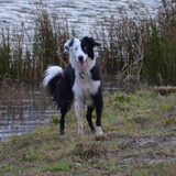 Foto van Pauline