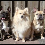 Djaila, Cloudy & Pluk