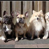 Deva, Djaila, Pluk, Cloudy & Sammy