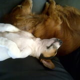 hoezo babyvet!!