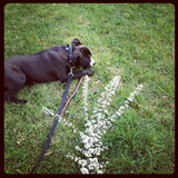 Foto van Fro & Peer