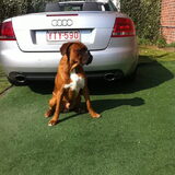 met mijne ride