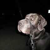haha he bert, heeft Beer toch nog steeds blauwe ogen ;-)