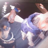Samen in de auto!!