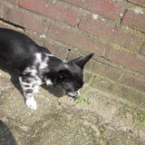 Hey,,wat is dat?