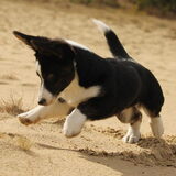 Spelen in het zand!