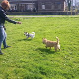 Floortje & Melo.