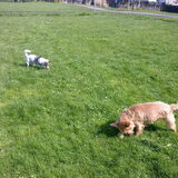 Floortje & Melo.