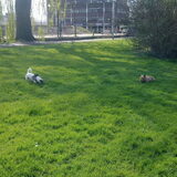 Floortje & Melo.