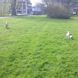 Floortje & Melo.