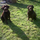 Dit is jack met zijn moeder nu :) jack is de grootste