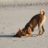 Foto van Michal & Plato