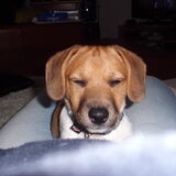 Smile!