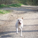 Foto van esther