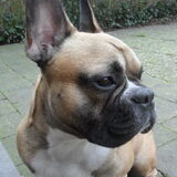 Foto van Kelly