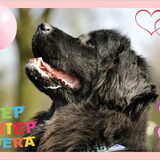 14 april 2012: Yuna 3 jaar!