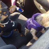 Samen in de auto!!....Op weg naar iets leuks!
