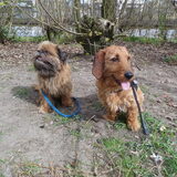 Brando en Kobus