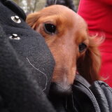 15-04-2012 Lieve Yuki is aan het schooien