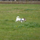 Even wandelen.