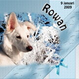 Digiscrap Rowan