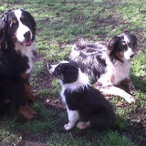 Foto van Ivonne, Diego , Dora & Boots