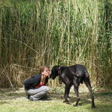 Foto van isabelle