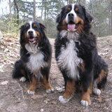 Cay en Cooper.
